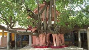 TEMPLE OF NANDIKESHWARI TEMPLE OF NANDIKESHWARI