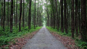 RAJABHATKHAWA RAJABHATKHAWA