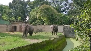 ALIPORE ZOOLOGICAL PARK ALIPORE ZOOLOGICAL PARK